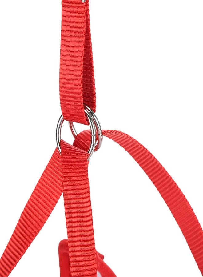 Lampostick Cat Harness with 1.5m Leash, Cat Belt Adjustable Size Breathable Cat Vest Strap with Safety Reflective Strip, Cat Leash with Harness for Small Cat and Dog (M, Orange) - Image 4